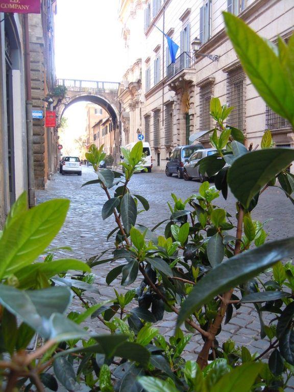 Via Giulia Apartment Roma Exterior foto